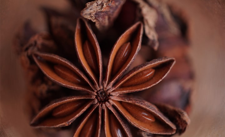 Sample image shot with the ZV-E10 using a macro lens