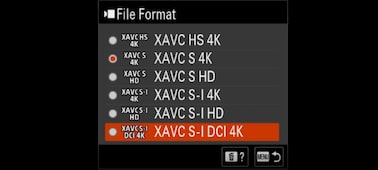 Menu image showing selectable recording file formats