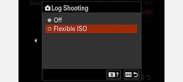 Product image of the UI screen for Log Shooting settings for still images