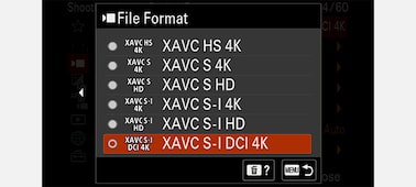 Product image of the UI screen for setting the file format