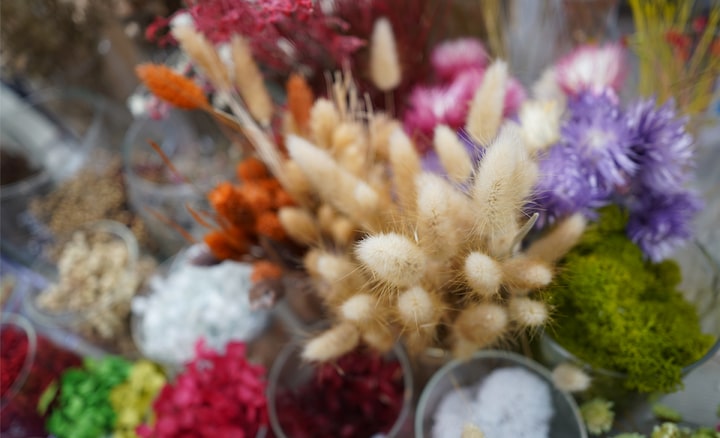 Close-up of bristle grass and other flower bouquets