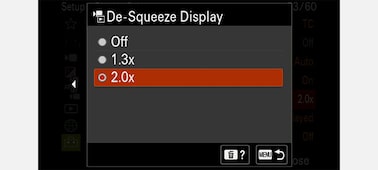 Product image of the UI screen for desqueeze settings