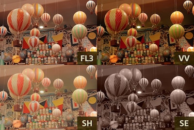 Four example images showing Creative Look presets FL3 (top left), VV (top right), SH (bottom left) and SE (bottom right)