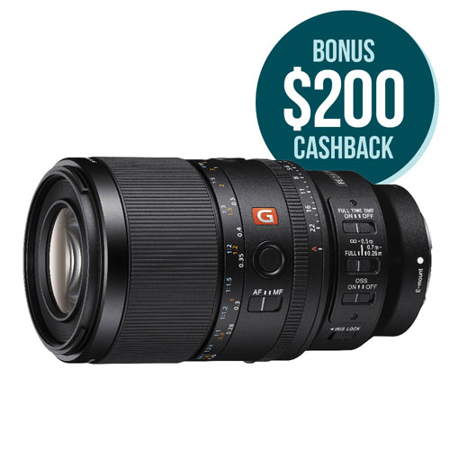 FE 100mm F2.8 Macro GM OSS