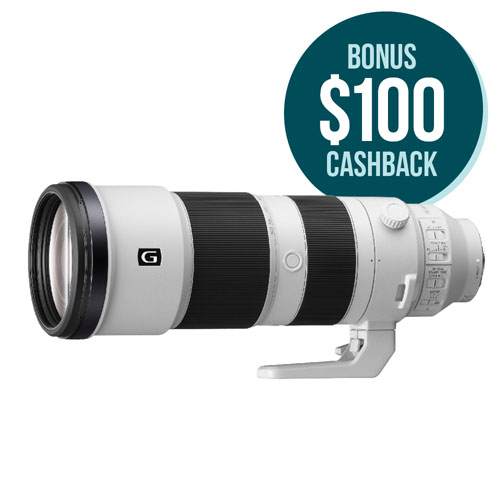 FE 200-600mm F5.6-6.3 G OSS Lens