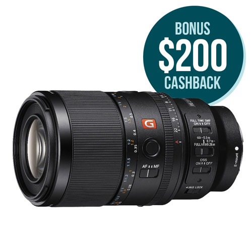 FE 100mm F2.8 Macro GM OSS