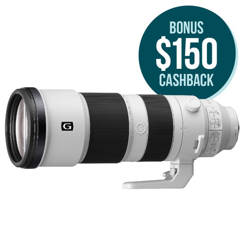 FE 200-600mm F5.6-6.3 G OSS Lens