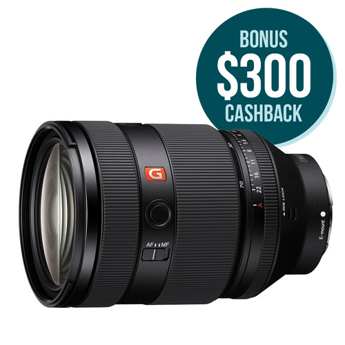 FE 28-70mm F2 GM