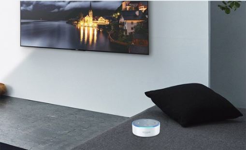 Insitu Image | Alexa