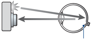 retina